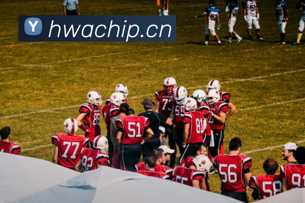 开云app官方版入口appAPP 高清赛事图